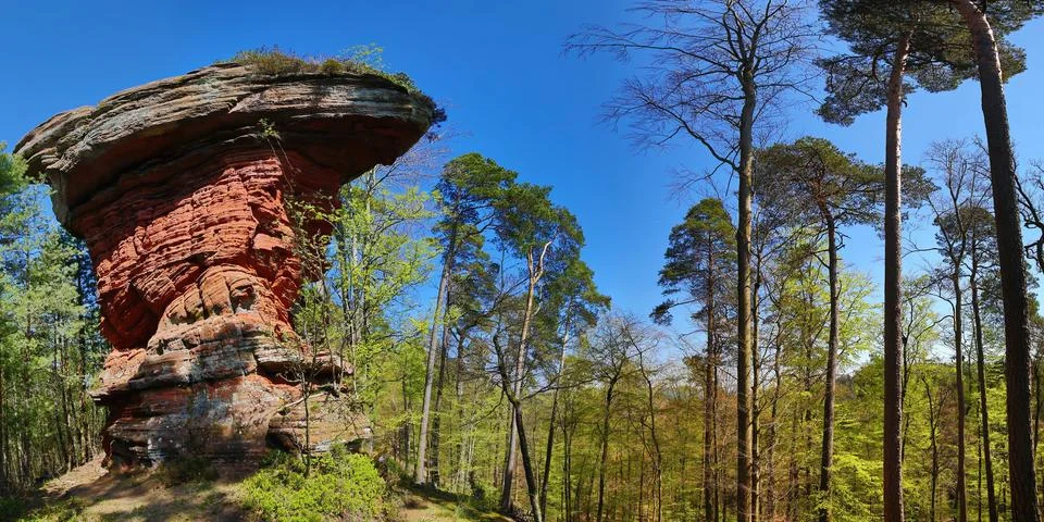 Devil's table stands on a hill in the middle of the forest Stock Photos