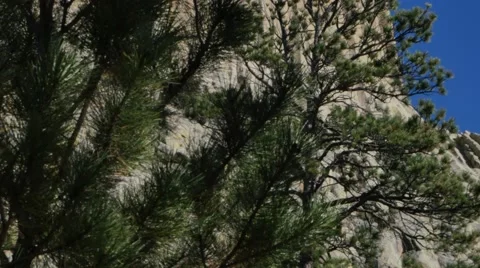 Devils Tower Stock Footage 48481207