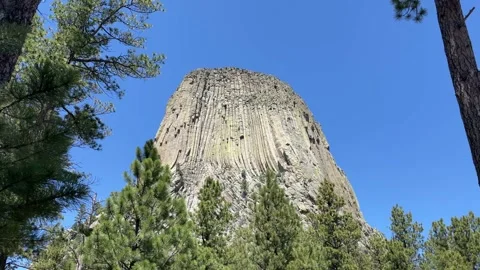 Devils Tower National Monument Framed by Pine Trees Stock-Footage 216294497