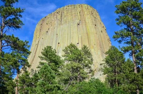 Devil's Tower National Monument framed by trees on a bright summer day 写真素材
