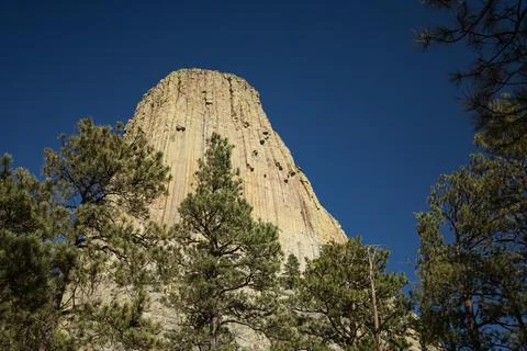 Devils Tower National Monument Framed By Pine Trees, Wyoming Stock Photos