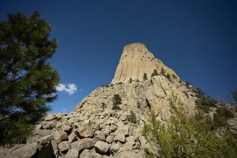 Devils Tower National Monument With Pine Trees In Wyoming Stock Photos