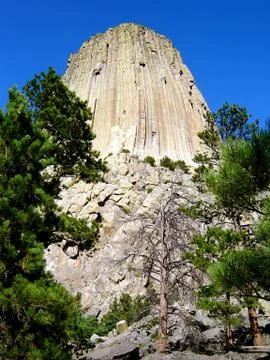 Devils tower Fotos Stock