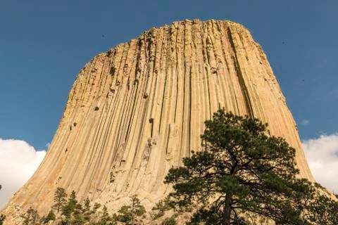 Devils Tower Stock-Fotos