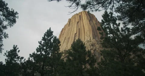 Devil's Tower through the Trees 動画素材 228847111