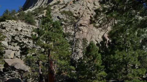 Devils Tower Tilt Stock Footage 48480902