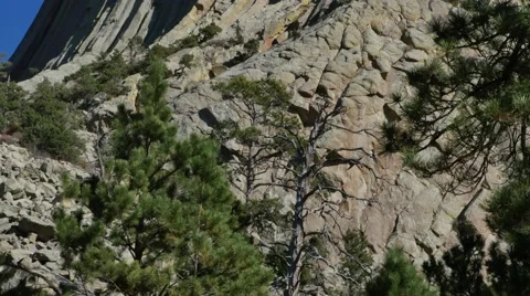 Devils Tower Tilt Stock Footage 48480971
