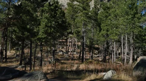 Devils Tower Tilt Stock Footage 48481976