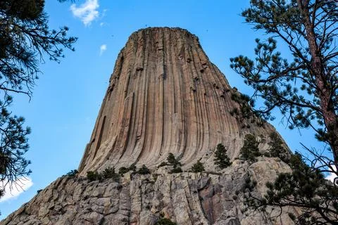 Devils Tower Towering Up Between the Trees, Devils Tower National Monument Foto stock