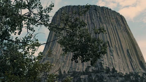 Devils Tower Vertical Cliffs Behind Foreground Foliage Stock Footage 340245444