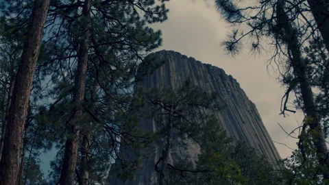 Devils Tower Viewed Through Tall Pine Trees Stock Footage 340245261