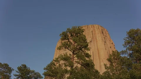 Devils Tower, Wyoming Vidéo 101285148