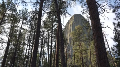 Devil's Tower Wyoming Stock Footage 288774234