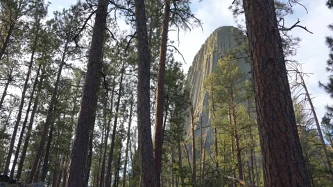Devil's Tower Wyoming Stock Footage 288774279