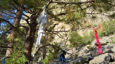 Devil's Tower Wyoming Stock Footage 288776656