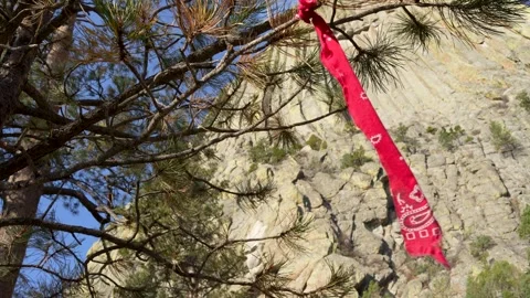 Devil's Tower Wyoming Stock Footage 288776734