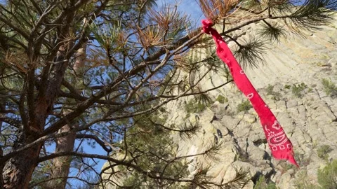 Devil's Tower Wyoming Stock Footage 288778152