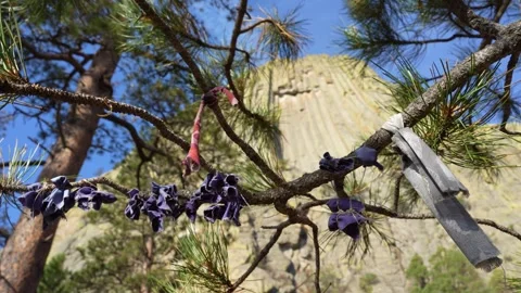 Devil's Tower Wyoming Stock Footage 288778180