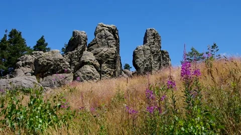 Devils Wall in Harz Mountains Stock Footage 52061749