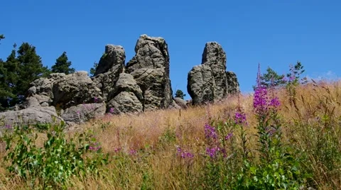 Devils Wall in Harz Mountains Stock Footage 55081428
