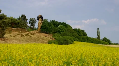 Devils Wall in Harz Mountains Stock Footage 58088990