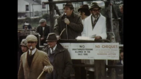 Devon Bampton fair cattle market Vidéo 252671831