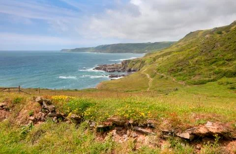Devon coastline in spring Stock Photos