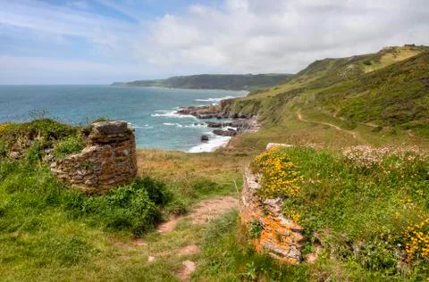Devon coastline in spring Stock Photos
