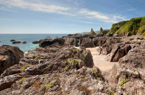 Devon coastline in summer Stock Photos