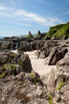 Devon coastline in summer Stock Photos