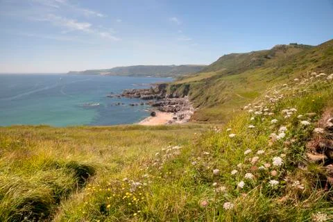 Devon coastline in summer Stock Photos