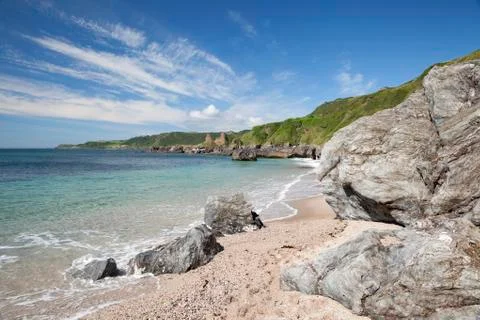 Devon coastline in summer Foto stock