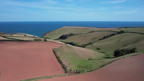 Devon Fields and Farmlands from a drone, Kingswear, Brixham, Devon, England Stock Footage 211494615