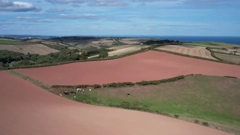 Devon Fields and Farmlands from a drone, Kingswear, Brixham, Devon, England Stock Footage 211494849