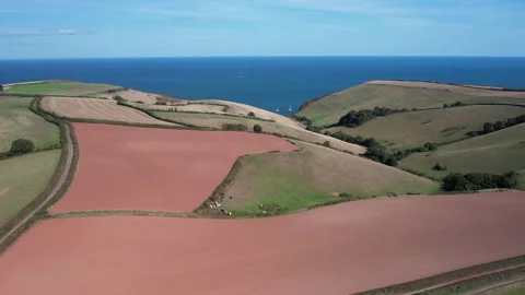 Devon Fields and Farmlands from a drone, Kingswear, Brixham, Devon, England Stock Footage 211507783