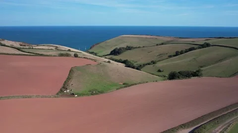Devon Fields and Farmlands from a drone, Kingswear, Brixham, Devon, England Stock Footage 211513557