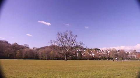 Devon Park - Wide 2 Stock Footage 37284905