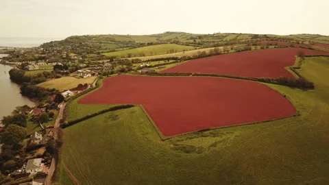 Devon, red soil Stock Footage 169078378