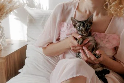 The devon rex cat in the arms of her owner on the bed in the morning Stock Photos