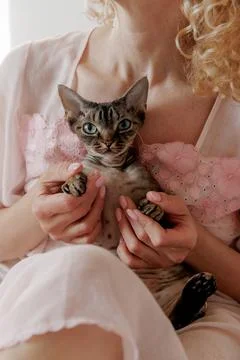 The devon rex cat in the arms of her owner on the bed in the morning Stock Photos