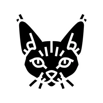 Devon rex cat cute pet glyph icon vector illustration 스톡 일러스트
