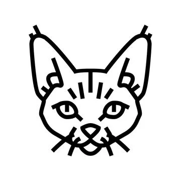 Devon rex cat cute pet line icon vector illustration 스톡 일러스트