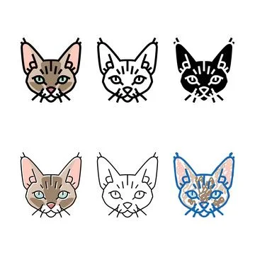 Devon rex looks cat cute pet color icon vector Stock Illustration