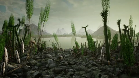 Devonian Period forest landscape, late p... | Stock Video | Pond5