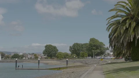 Devonport Tasmania Foreshore Stock Footage 91671748