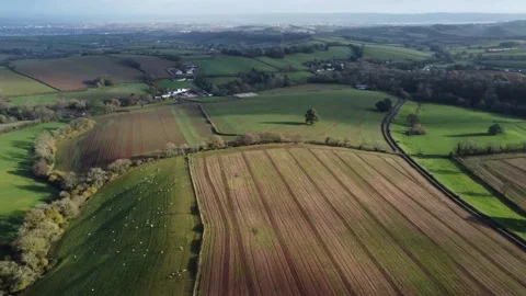 Devonshire pastureland with Exeter in background Stock Footage 186649296
