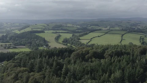 Devonshire Tracking Drone Shot of Forests and Woodland on a Moody Dramatic Day Vídeo Stock 128119669