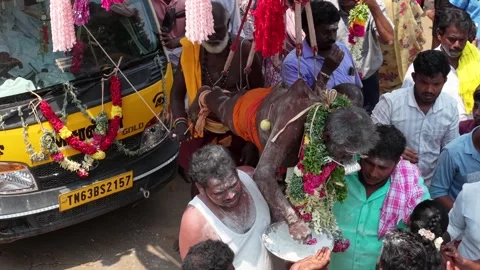 Devotee Performing Alagu Kuthu Ritual During Festival in Sivaganga India Stockbeeldmateriaal 336427568