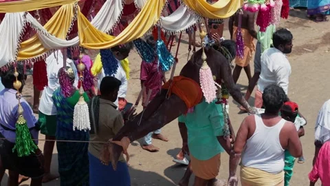 Devotee Performing Alagu Kuthu Ritual During Festival in Sivaganga India Stockbeeldmateriaal 336427665