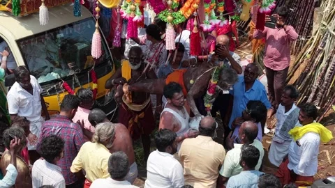 Devotee Performing Alagu Kuthu Ritual During Festival in Sivaganga India Stock Footage 336427737